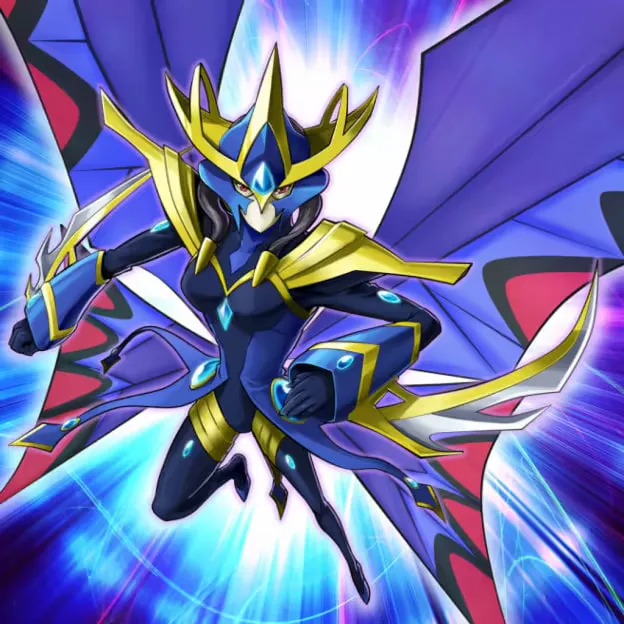 Night Papilloperative